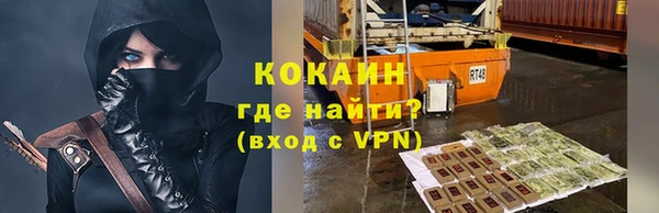 сатива Абинск