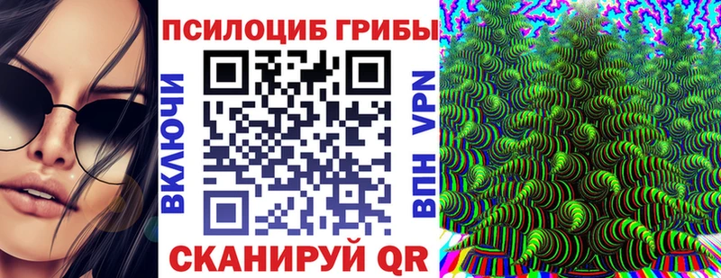 Псилоцибиновые грибы MAGIC MUSHROOMS  площадка телеграм  Ясный  даркнет сайт  гидра рабочий сайт 